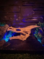 Ivory Dragon Skull, Skyrim Inspired, The Elder Scrolls Artifact, Relic Prop