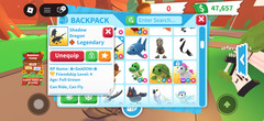 fr shadow dragon adopt me