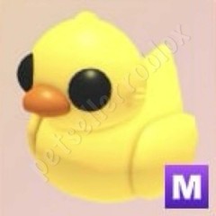 Shadow Dragon Ducky | Red Panda Ducky | Strawberry Shortcake Ducky | Adopt Now