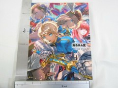 AKIRA YASUDA Art Illustration Book AKIMANDO Street Fighter II SB09 SeeCondition