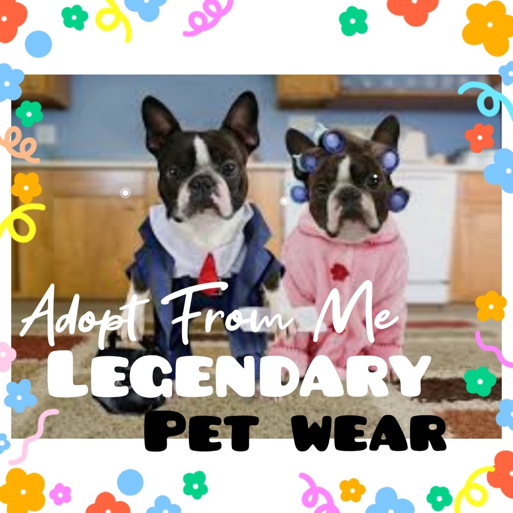 🌺Adopt (All Stuff) Today! 🌸 🌟Legendary🌟 🎀 Cute & Cheap 🎓PET WEAR🧶