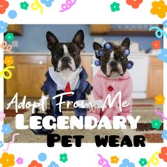 🌺Adopt (All Stuff) Today! 🌸 🌟Legendary🌟 🎀 Cute & Cheap 🎓PET WEAR🧶