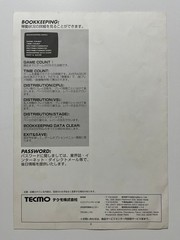 Dead or Alive 2 Tecmo Arcade Art & Flyer Set Japan