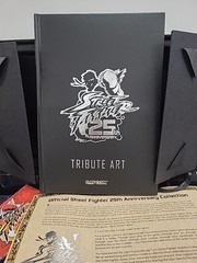 Street Fighter 25th Anniversary Collection — Collector set box & extras (NO GAME