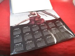 Resident Evil 2008 Promotional Calendar w/ Unused Sticker Sheet by Prima Games