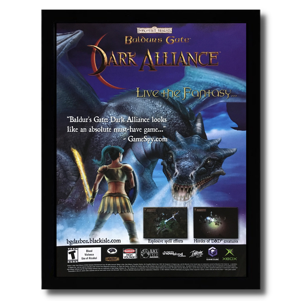 2002 Baldur’s Gate: Dark Alliance Framed Print Ad/Poster Official PS2 Xbox Art