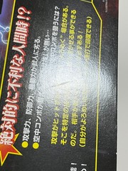 Bloody Roar 2 Arcade Art Set Japan