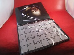 Resident Evil 2008 Promotional Calendar w/ Unused Sticker Sheet by Prima Games