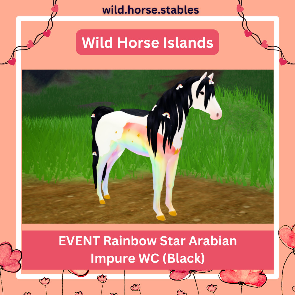🌈 Wild Horse Islands – Rainbow Star Arabian Events 🌈