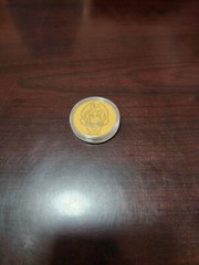 Nintendo The Year of Luigi Gold coin,Nice shape!