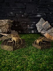 Small Golden Bee Relic, Skyrim Goldenglow Estate Thieves Guild Collectible