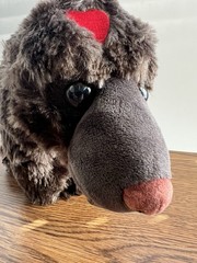 Days Gone Rager Bear Plushie . Was A PAX Exclusive 2019 PlayStation Booth .