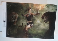 Tomb Raider Underworld Poster # 1 Nintendo Wii Eidos Dual Pistols Lara vs Tigers