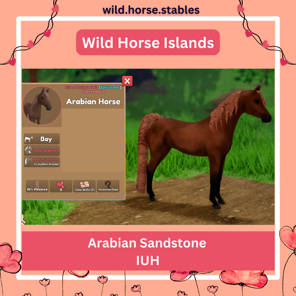 Wild Horse Islands – Arabian Island Unique Hairs/IUH