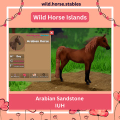 Wild Horse Islands – Arabian Island Unique Hairs/IUH
