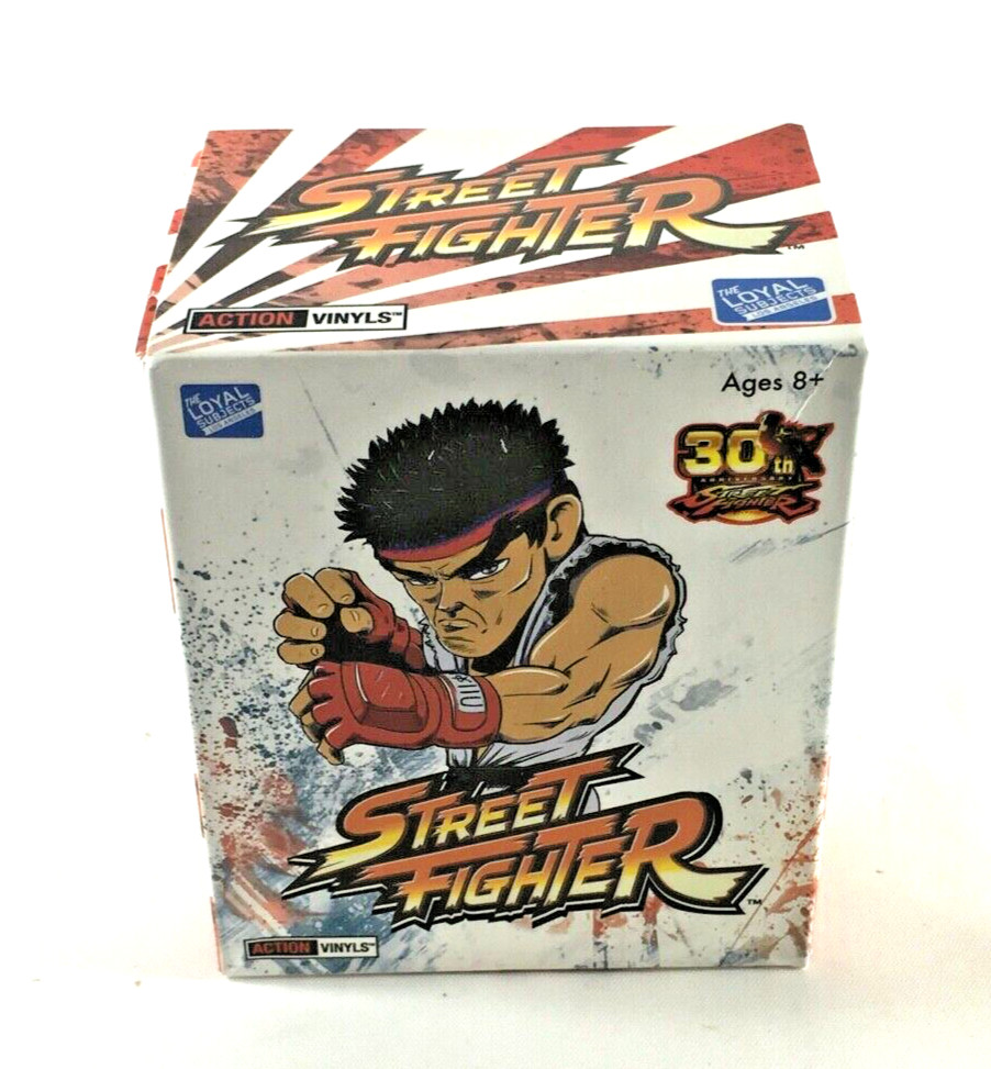 Street Fighter Mystery Vinyl Figure 80’s Box Loot Crate Exclusive