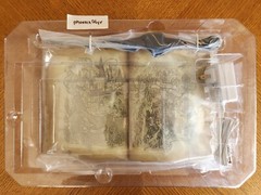 Hogwarts Legacy Collector’s Edition Floating Wand with Book Base + Box (NO GAME)