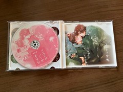 Yes or No or Half? Drama CD Michi Ichiho BL 3.5 in model