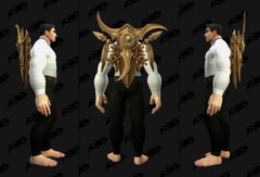 [Global] Arsenal: Golden Crests of the Kingdom – World of Warcraft 30th transmog