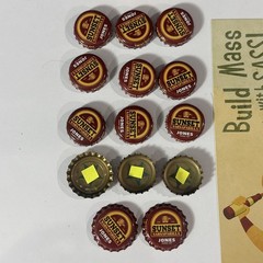 Fallout Sunset Sarsaparilla Bottle Opener 14 Caps 3 Blue Star New Vegas