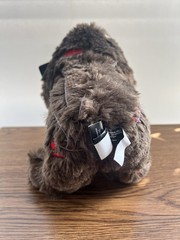 Days Gone Rager Bear Plushie . Was A PAX Exclusive 2019 PlayStation Booth .