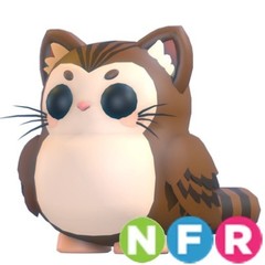 Neon Fly Ride Purrowl | Adopt Right Now
