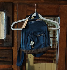 Mighty Fine The Last of Us Video Game Series Blue Backpack Bag, New