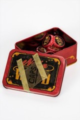 Fallout Bottle Cap Series Nuka Cola Wild with Collectible Tin