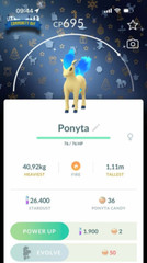 Shiny Ponyta Special Background December Community Day 2024 – Trade 20kstardust