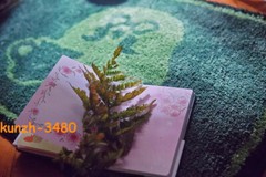 Animal Crossing Brewster Coffee Carpet Game Tufting Floor Mat Soft 80*60cm Green