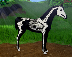 IWC SKELETON ARABIAN SALE!! CHEAP PRICES 🔥| Wild horse islands | Roblox