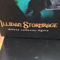 DC Unlimited World of Warcraft Illidan Stormrage Deluxe Action Figure 2008
