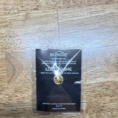 Bungie Destiny Collectible Pin Guardian crest loot crate retired