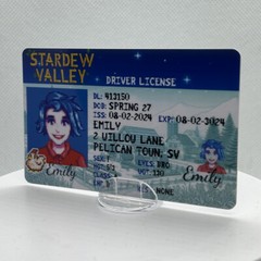Stardew Valley Driver License Prop | Character ID Prop | Willy Emily Sebastian