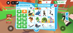 fr shadow dragon adopt me