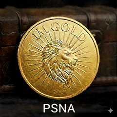 ESO GOLD PS4/PS5 NA – 1 MILLION.