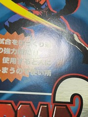 Bloody Roar 2 Arcade Art Set Japan