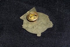 Vintage 90’s Capcom Official Street Fighter II Alpha Zero Pin Blanka