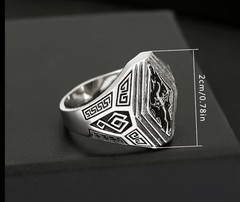 SKYRIM (The Elder Scrolls IV Oblivion) Stainless Metal Pendant With Chain & Ring