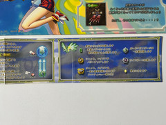 Espgaluda Cave Arcade Art Set Japan