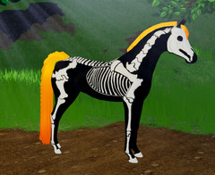 IWC SKELETON ARABIAN SALE!! CHEAP PRICES 🔥| Wild horse islands | Roblox