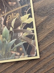 THE LAST OF US PART II Lithograph Signed Ashley Johnson & Laura Bailey JSA COA