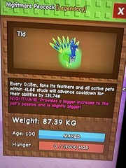 TITANIC PEACOCK NIGHTMARE Grow A Garden