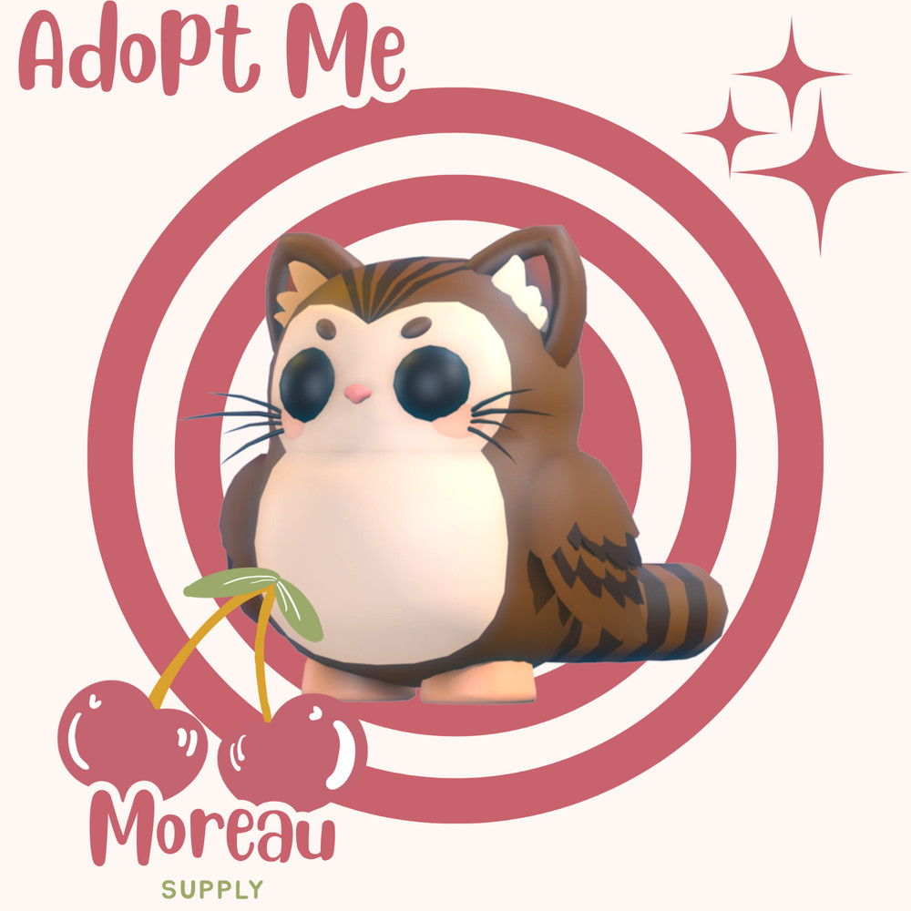 Purrowl | Worldwide Seller | Trusted Seller ✅📌 adopt from me today!