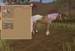 Wild Horse Islands 🌸 IUH Icey Pink Appaloosa Rc Peacock 🌸