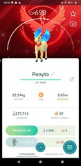 Pokémon Shiny Ponyta Wearing Candela Themed Costume Team Valor Background