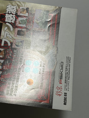 Daraku Tenshi The Fallen Angels Arcade Flyer Japan (PSiKYO, 1998)