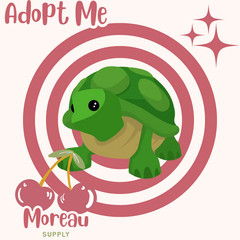 Fly Ride Turtle | Worldwide Seller | Trusted Seller ✅📌 adopt from me today!