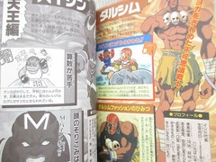 STREET FIGHTER II 2 Memorial Movie Official Fan Book Art SNES 1994 1st Ed. SG c