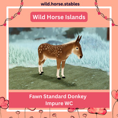 Wild Horse Islands – Fawn Horses Wild Caught (All Breeds)